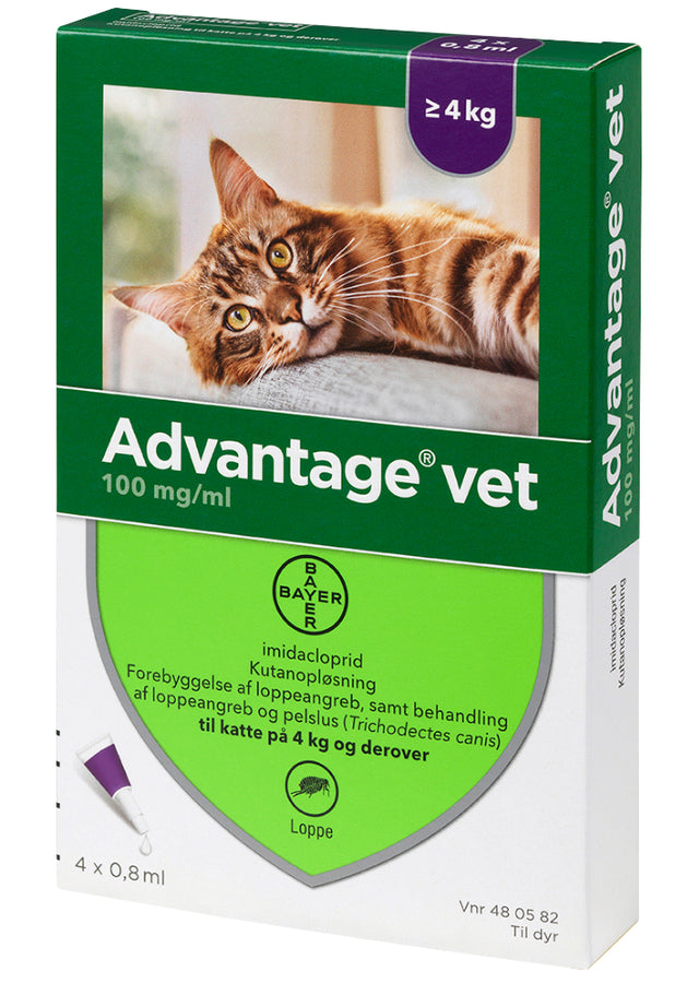 Advantage Vet 100 mg/ml loppemiddel til katte på 4 kg og derover fra Advantage, med en kat i æsken, der giver effektivt loppemiddel til katte og behandling til lopper. Vores løsninger fokuserer også på forebyggelse af l.