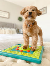 En lille hund, der står oven på et Nina Ottosen Aktivitetslegetøj "multipuslespil" - til hunde og katte SV4 på en seng, giver en udfordring.