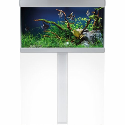 Et Akvastabil Akvariesglas Fusion 144L akvarium på stativ med frodige planter og levende belysning.