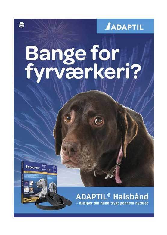 ordningen at tiltrække vokal Nytår, Køresyge - Feromoner til hunde/hvalpe, Adaptil Halsbånd – Os med  kæledyr.dk