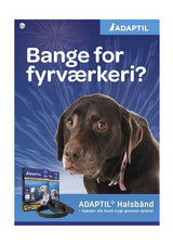 En hund med et D.A.P halsbånd (bandana) for beroligende effekter.