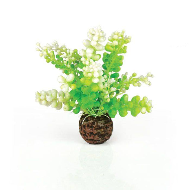 planter / Ornamenter - Biorb Dekoration, Lille boblebladet plast plante - Hvor kæledyr ville handle - Foderboxen.dk