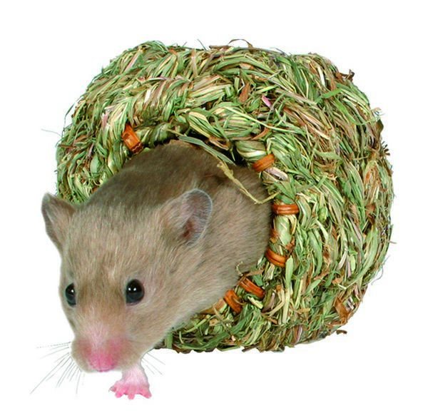 Græshule til hamster