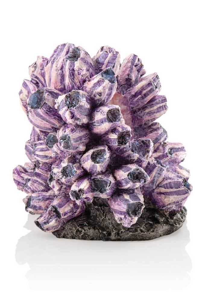 biOrb Barnacle Cluster 48359