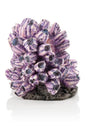 biOrb Barnacle Cluster 48359