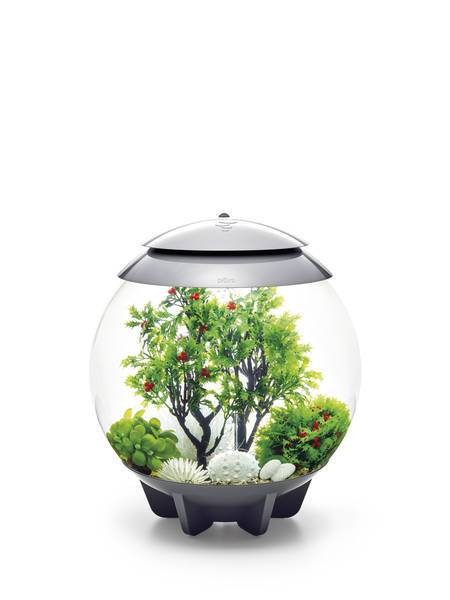 En biOrb designer akvarium med biOrb planter og sten som skulpturer.