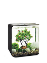 Et biOrb akvarium med biOrb fuld dekorationssæt 30L / Winter (vinter) xmas skulpturer og planter i.