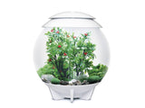 Et biOrb designer akvarium med planter i.