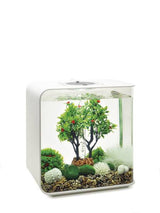 Et lille biOrb akvarium med biOrb fuld dekorationssæt 30L / Winter (vinter) xmas skulpturer og frodige planter.