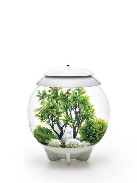 En lille biOrb plantekasse med planter i på hvid baggrund.