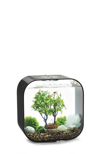 Et biOrb akvarium med planter og sten som skulpturer.