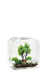 Et biOrb designer akvarium, der viser et fantastisk træ som sit midtpunkt.