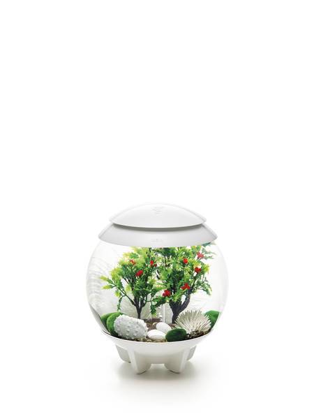 Et lille biOrb fuld dekorationssæt 15L / Vinter (vinter) xmas akvarium med planter og sten på en hvid overflade.