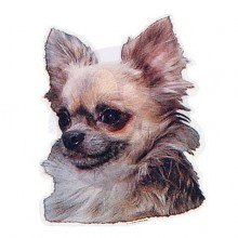 Dekal Chihuahua