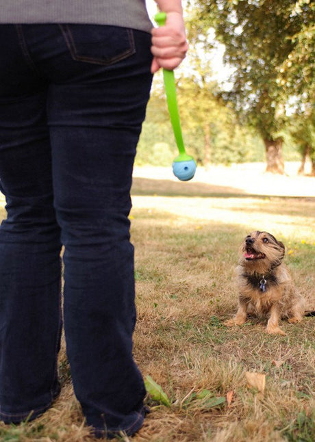 Hundelegetøj - Chuckit The Whistler (fløjtende bold) - Hvor kæledyr ville handle - Foderboxen.dk