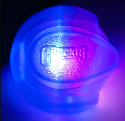 En Chuckit Bold Med LYS, Medium - ingen garanti på lys blå og lilla glød i den mørke bold med LED-lys.