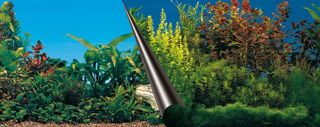 Akvarie baggrund 60x30cm, 2 sidet. Planter