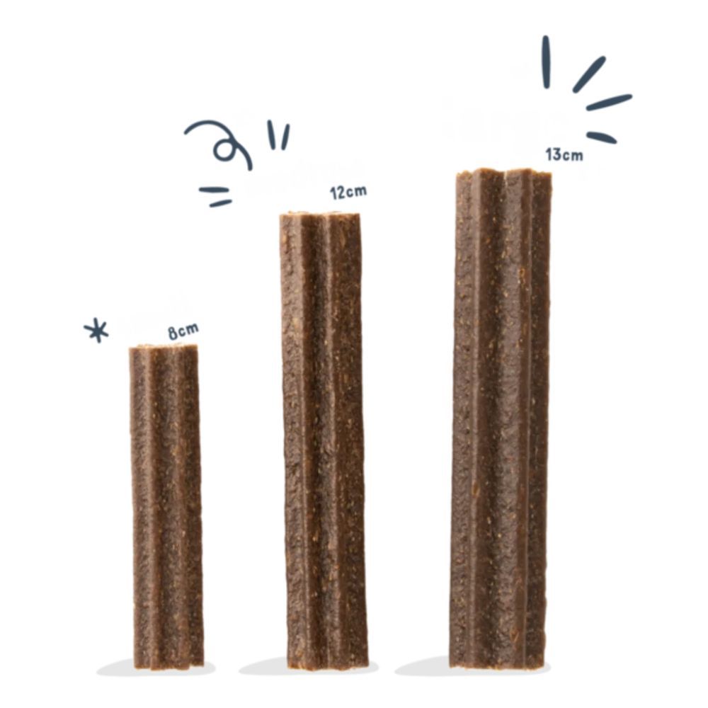Dentalsticks fra Doggy Dental Æble & Eucalyptus | Large, også god til hvalpe og allergihunde