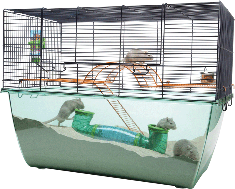 Gnaverbur, Habitat XL - Vetboxen.dk
