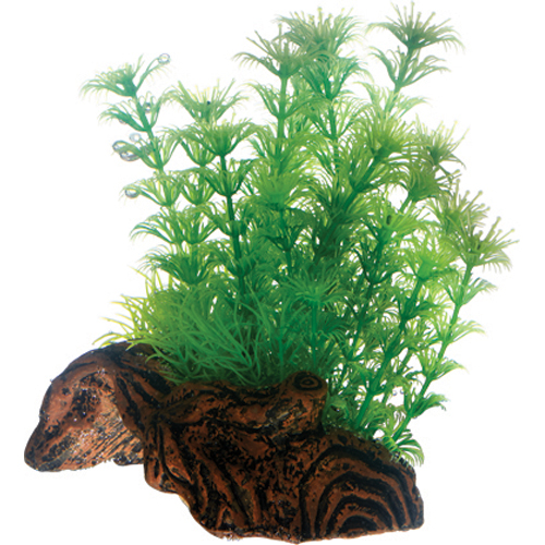 Akvarie - Akvarie plastplante 3 med tung fod - Hvor kæledyr ville handle - Foderboxen.dk