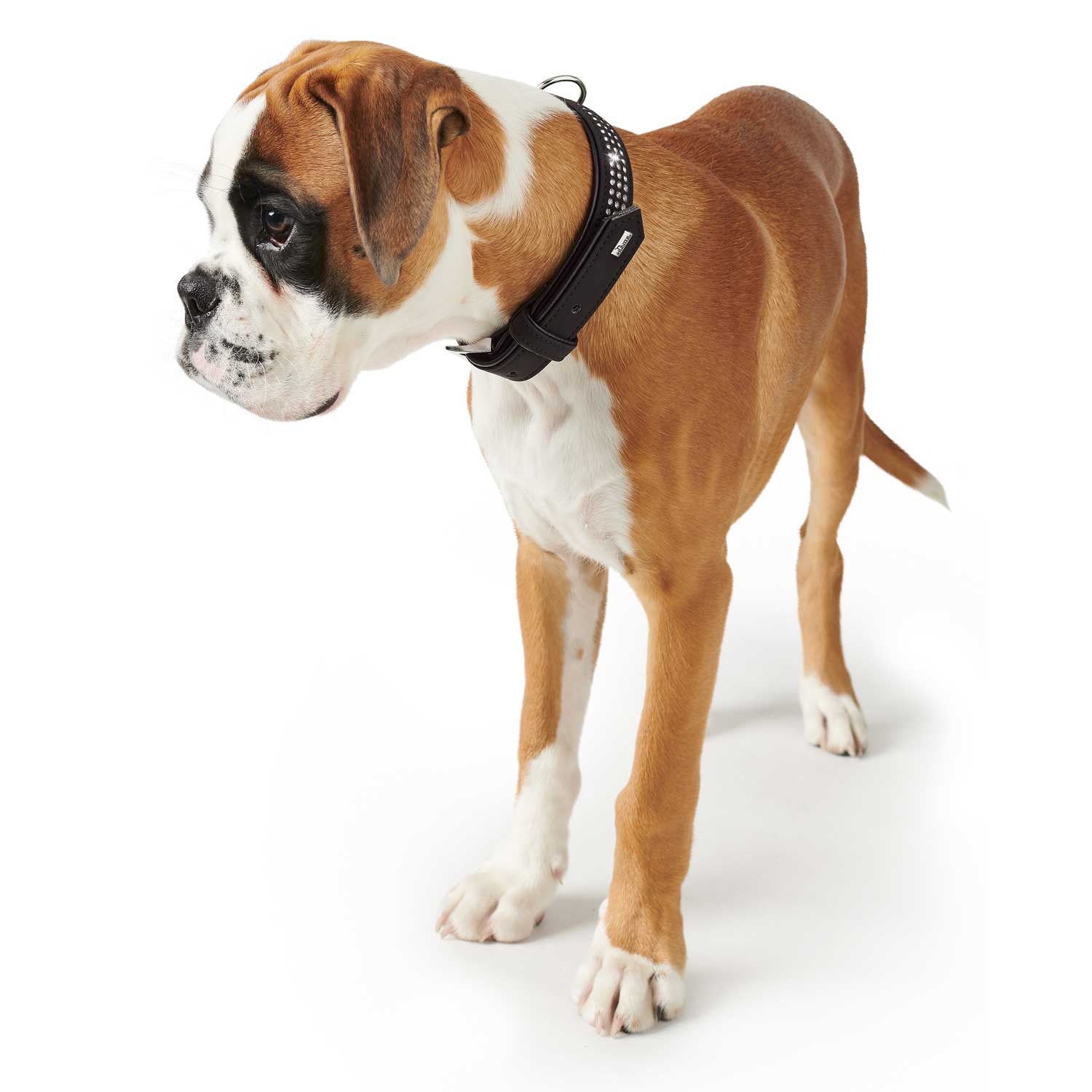 Hundehalsbånd, Hunter, lækkert bling halsbånd, sort