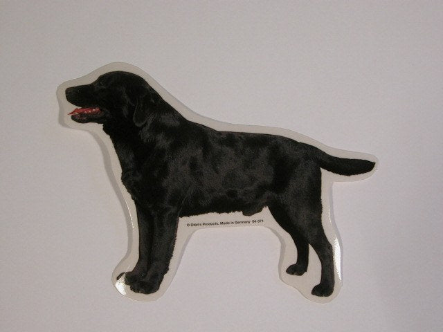 Dekaler med dyremotiv - Dekaler Hund - Hvor kæledyr ville handle - Foderboxen.dk