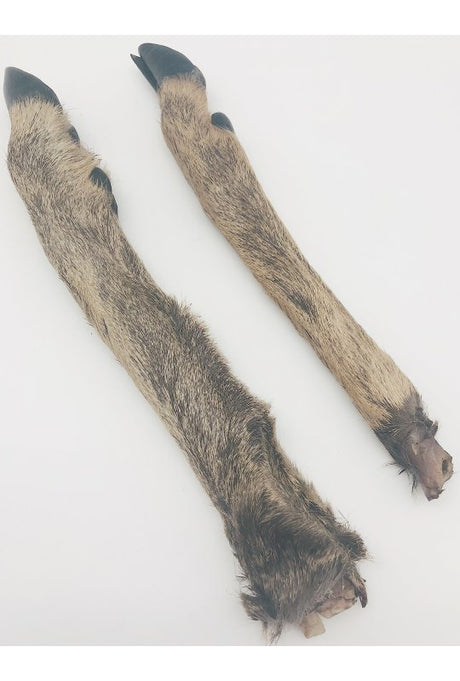 Et par Hjorteben Medium med pels ca 25cm fra Naturligt, der viser deres naturlige skønhed og bløde pels på en hvid overflade.