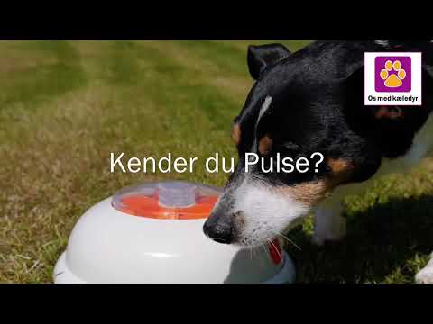 Pulse fra NORTHMATE | Smart & Interaktivt - madskål til hunde