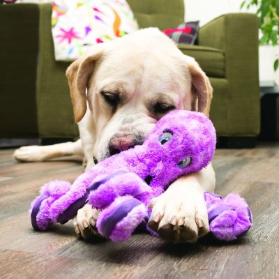 Rysten, en hund, leger glad med et Kong Soft Seas Octopus-legetøj.