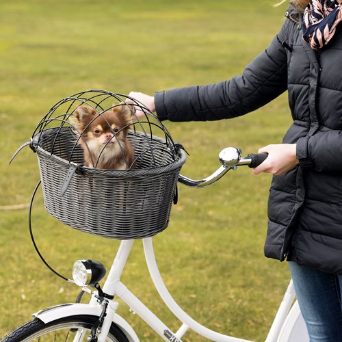 En kvinde holder en hund i en Trixie Cykelkurv med gitter til styret, Grå kurv på en cykel.