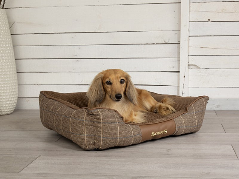 En hund ligger komfortabelt i en Scruffs Windsor hundeseng, hvilket viser kvaliteten af denne Scruffs Hundeseng "Scruffs Window" brun - Luksus og lækker!