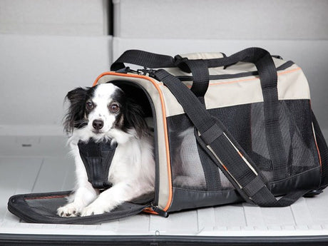 En hund sidder i en Transporttaske, flygodkendt - Kurgo Wander bæretaske af Qpet.