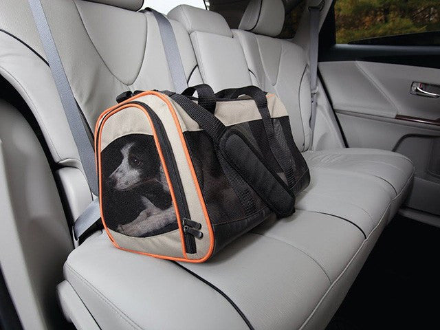 En Qpet hundevogn sikret med sikkerhedssele på bagsædet af en bil.