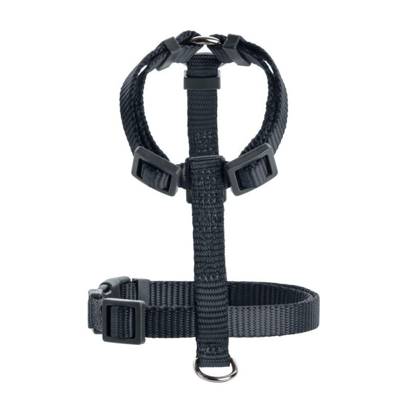 En sort Hunter Hundesele på hvid baggrund.