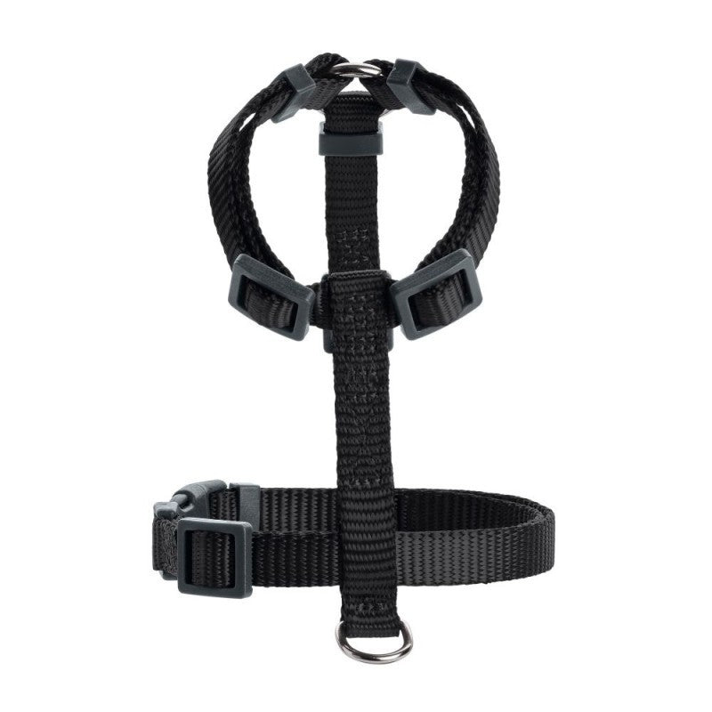 En Hundesele fra Hunter på hvid baggrund med søgeordet "Hundesele".