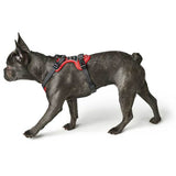 En sort og rød hund iført Hundesele fra Hunter, Divo - Mørkeblå gående på hvid baggrund.