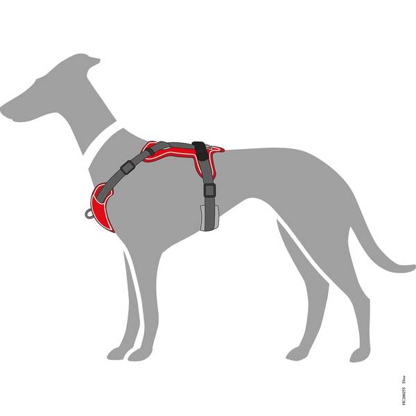 En silhuet af en greyhound iført en Hundesele fra Hunter, Divo - Rød/Grå (sele).