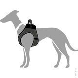 En gråhund iförd en Hundesele fra Hunter, Hilo Comfort Puppy - Antracit (Grå).