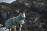 A hunde in a Hurtta - Extreme Warmer Støvet Grøn (ECO Hedge) termiske jakker stående på en sten.