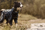 En Hurtta-hund i en Regndækken med ben til hunde, der står ved en å og giver beskyttelse til udendørs brug.