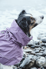 En hund iført en lilla regnjakke på stranden under støvregn- Hurtta Drizzle Raven regndækken til hunde.