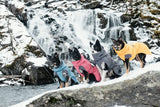 Fire hunde, udstyret i Hurtta - Expedition Parka Grå (Blackberry), står modigt i sneen nær et betagende vandfald midt i det kolde vejr.