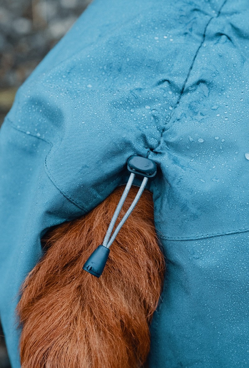 En Hurtta-klædt hund i Vandtæt blå Monsoon Jakke Blackberry (sort) regnjakke.
