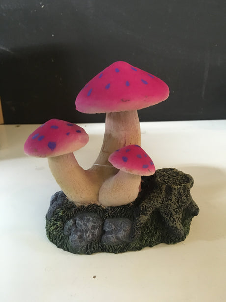 En pink Dekoration - svampe fra osmedkaeledyr.dk, prydet med en pink prik, fungerer som en charmerende dekoration til et akvarie.