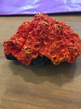 Et stykke fuchsiafarvet Trixie koral på et bord i en Trixie akvarie.