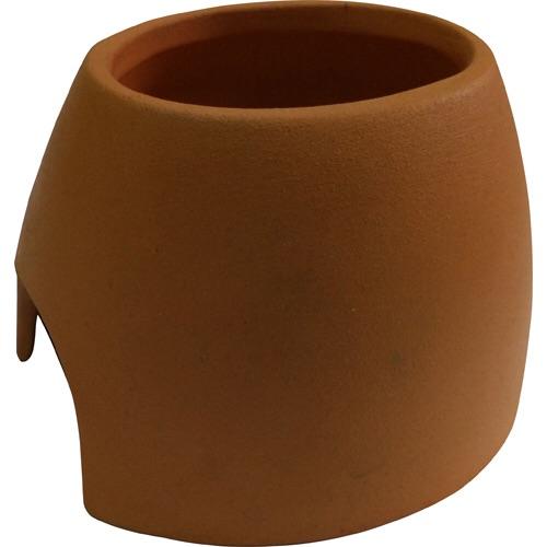 Mallehule (Terra cone) natur til akvarie