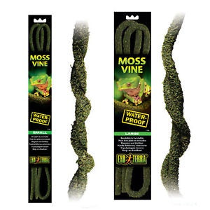 Moss vine small