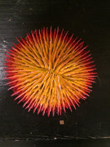 En rød og gul Trixie Koral/Akvarie blomst på toppen af et bord.