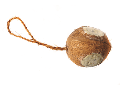 Kokosnød 3 huller, med fedt og melorme til fuglene i haven