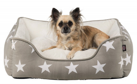 En lille hund liggende i en grå Hundepude med stjerner, taupe/hvid af Trixie, også kendt som et "hjem kurv til hunde.